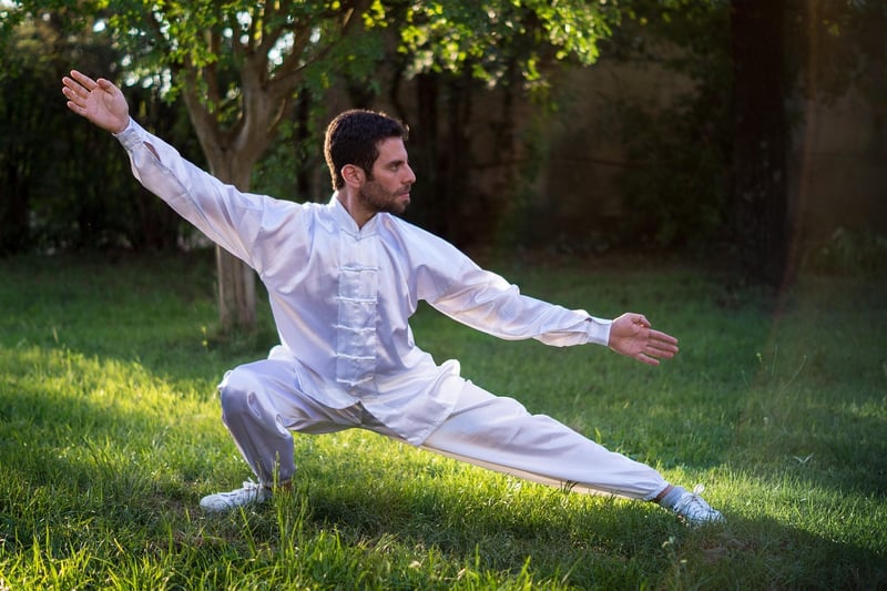 Wild Goose Qi Gong